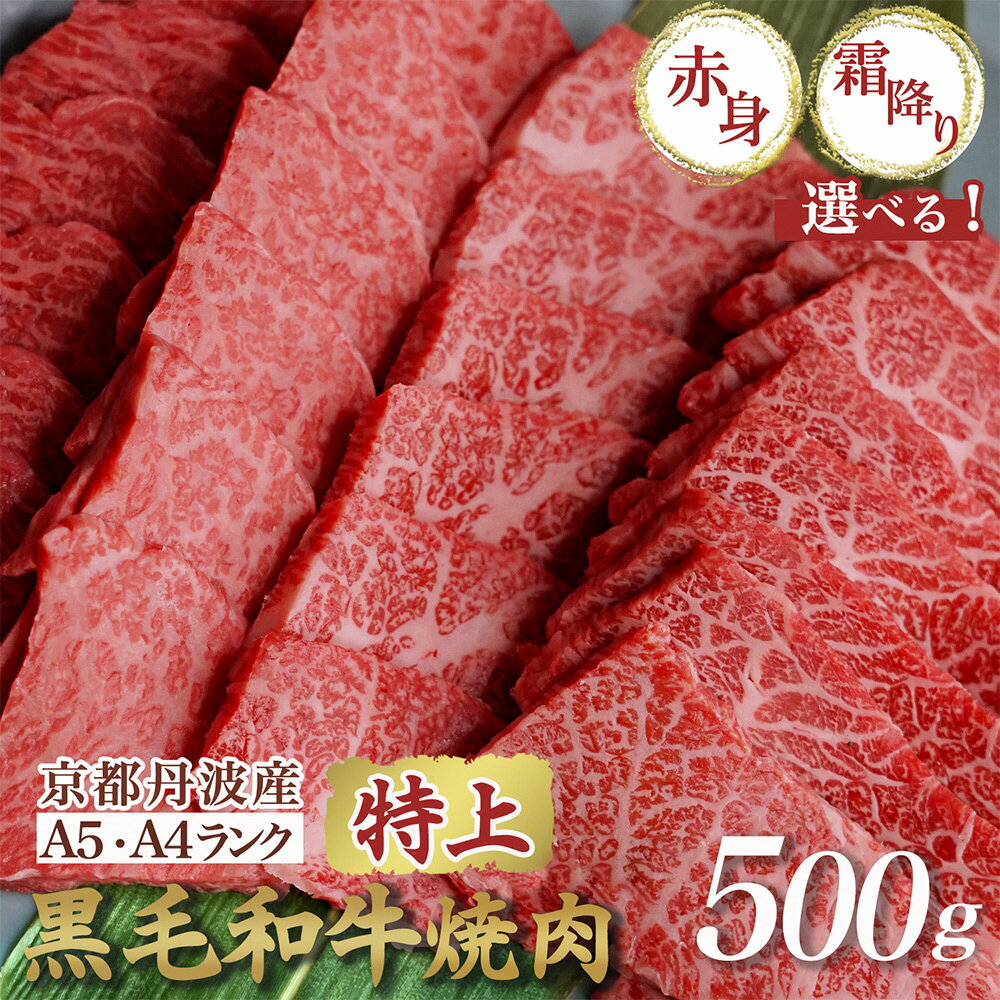 【ふるさと納税】【訳あり・生活応援】高評価 京都産黒毛和牛 焼肉『A5 特上霜降り』『 A4A5 特上赤身』500g ハーフ(250g×2) 食べ比べ 選べる 冷凍 京の肉ひら山≪焼肉 丹波産 希少和牛 牛肉 亀岡牛 ふるさと納税牛肉≫【7営業日以内発送】【9/30まで 寄附額改定】焼肉の日