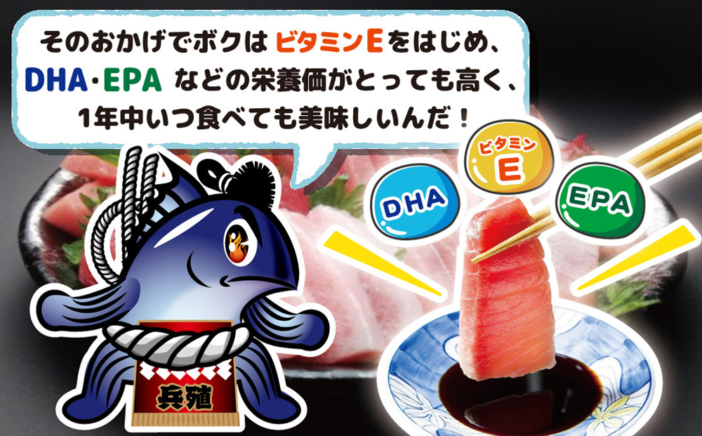 【定期便3回】豊後まぐろヨコヅーナ贅沢セット全3回 赤身250g 中トロ500g 大トロ250g入りの豪華セット 大分県産 九州産 津久見市【tsu0003019】
