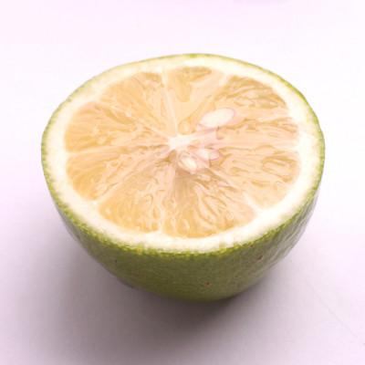 ふるさと納税 湯浅町 わけあり レモン2.5kg+250g(傷み補償分)【和歌山有田産】【防腐剤・WAX不使用】【国産】 |  | 01