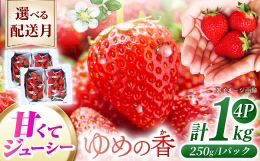 【2026年2月配送】 長崎県産 いちご ゆめの香 約1kg（250g×4パック）長崎県/わたる農園 [42AABB001] くだもの 果物 フルーツ いちご イチゴ 苺 ゆめの香 ゆめのか 1キロ 1kg 長崎 長崎県 お取り寄せ おすすめ 農家 産地 直送