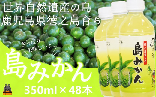 1810 ～爽やかな柑橘ドリンク！～徳之島の島みかん350ml×48本 (ドリンク 果物 フルーツ シークニン 徳之島 奄美 鹿児島 美農里館 さわやか 酸味 シークワーサー 美味しい )