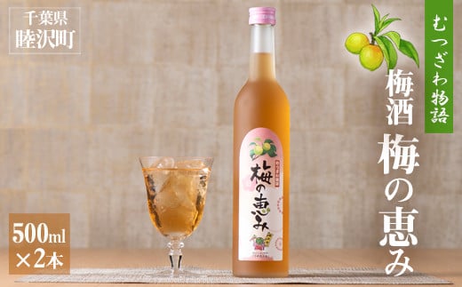 
むつざわ物語 梅酒「梅の恵み」500ml×2本 F21G-092
