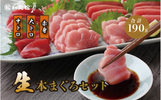  【月間300セット限定！鮮度抜群・採れたて直送！】【日付指定可】国産生本マグロ3種盛（大トロ　中トロ　赤身）合計約190g [A-11016] / 食べ比べ 直送 柵どり 福井県