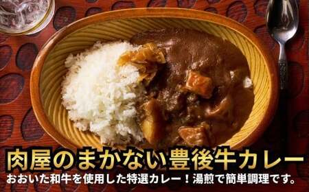 肉屋のまかない豊後牛レトルトカレー 230g×8袋 | 豊後高田市 レトルトカレー