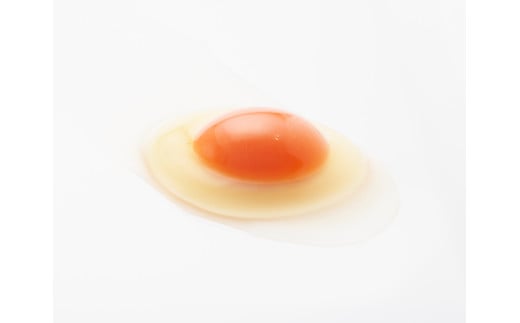 【リピート御礼】抜群に美味しい!!濃厚たまご!!アスタ卵(定期便月1回×6回発送) FCCS072002