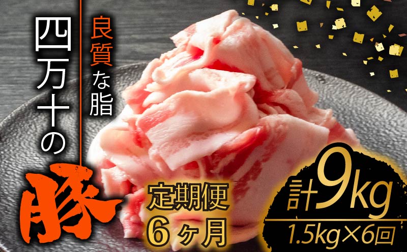 【定期便6回】四万十ポークスライス 計9kg（1.5kg×6ヶ月連続お届け) 2Iコース | 豚肉 豚バラ肉 小分け 小間切れ スライス 切り落とし 冷凍 真空パック 簡単調理 細切れ 大容量 肉 高知県 須崎市 TM37000