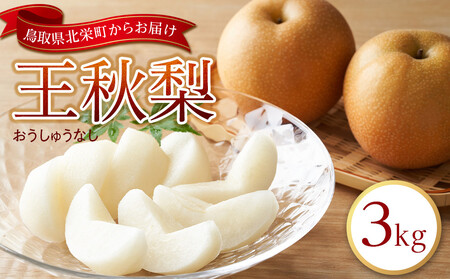 【先行予約】王秋梨 3kg前後 ※2026年10月下旬～12月上旬頃に順次発送予定 【梨 なし 果物 フルーツ くだもの 鳥取県産 北栄町 おすすめ 人気】