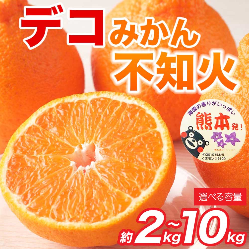 【ふるさと納税】 先行予約 不知火 デコみかん（デコポン同品種） 選べる容量 約2kg（5～9玉） 約3kg（6～13玉） 約5kg（12～24玉） 約8kg（18～37玉） 約10kg（24～48玉） 【2027年2月上旬～2027年4月中旬発送予定】ミカン 蜜柑 フルーツ 果物 熊本 日本フルーツ