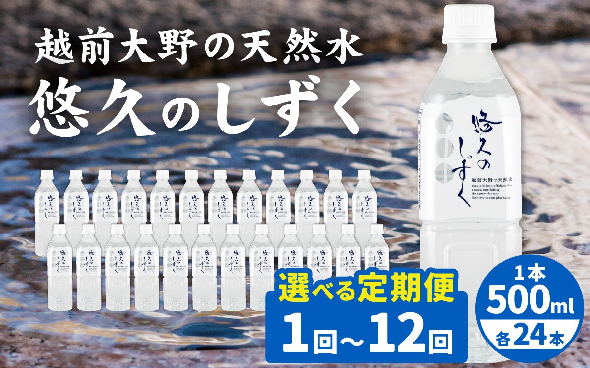 
                  【選べる配送回数！】 ＜ 定期便１～１２回 ＞越前大野の天然水　悠久のしずく PET500ml × 24本 | 定期便 飲料類 水 ミネラルウォーター 定期便 ふくいのおいしい水 南部酒造場 御清水 名水百選 防災 備蓄 国産
                