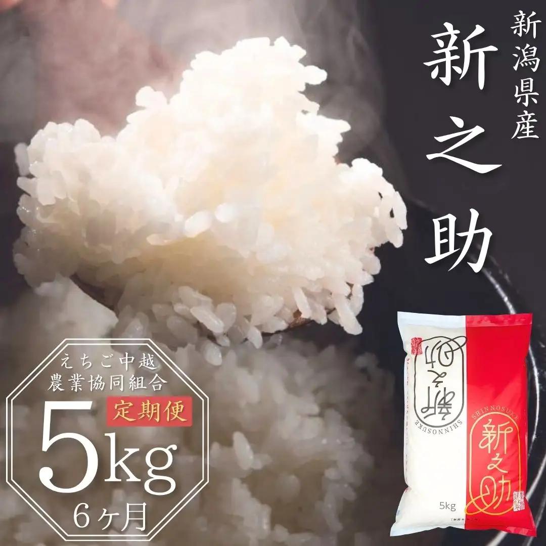先行予約 [定期便 5kg×6か月] 新潟県産 新之助 計30kg 6か月連続でお届け 令和8年産 [JAえちご中越] 【060S004】