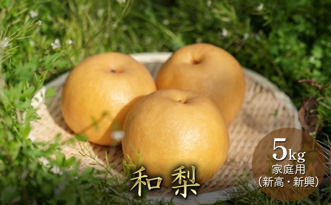 和梨 5kg 家庭用（新高・新興） 梨 新高梨 新興梨 詰め合わせ セット 和梨 なし ナシ 新高 新興 フルーツ 果物 デザート おやつ 国産 新潟 