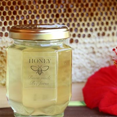 ふるさと納税 宮崎市 2025年産【希少!宮崎産非加熱ハチミツ】2種セット　ブォンミエーレ春のはちみつ160g×2