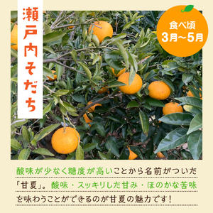 栽培期間中無農薬 甘夏みかん 5kg みかん ミカン 蜜柑 ビタミンC クエン酸 果物 くだもの フルーツ 送料無料 広島県 呉市
