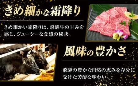 飛騨牛 焼肉用肩ロース 計700g  白川町 / 浅井商店[AWBJ002] 飛騨牛