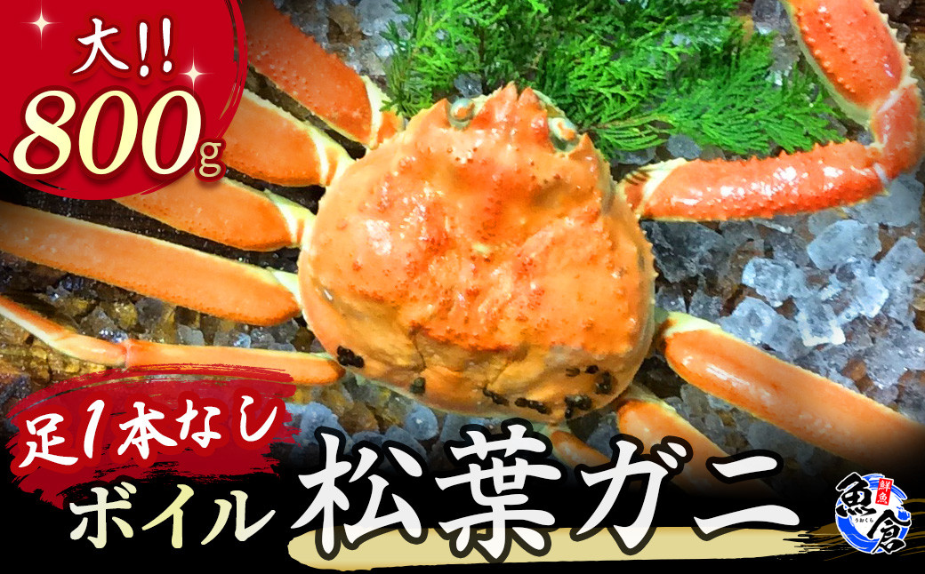 
            【魚倉】足１本なしボイル松葉ガニ（大８００ｇ）訳あり 松葉ガニ カニ ズワイガニ カニ爪 ボイル 冷蔵 ずわいがに 国産 わけあり 足かけ 足欠け 鮮度抜群 鳥取県 倉吉市
          