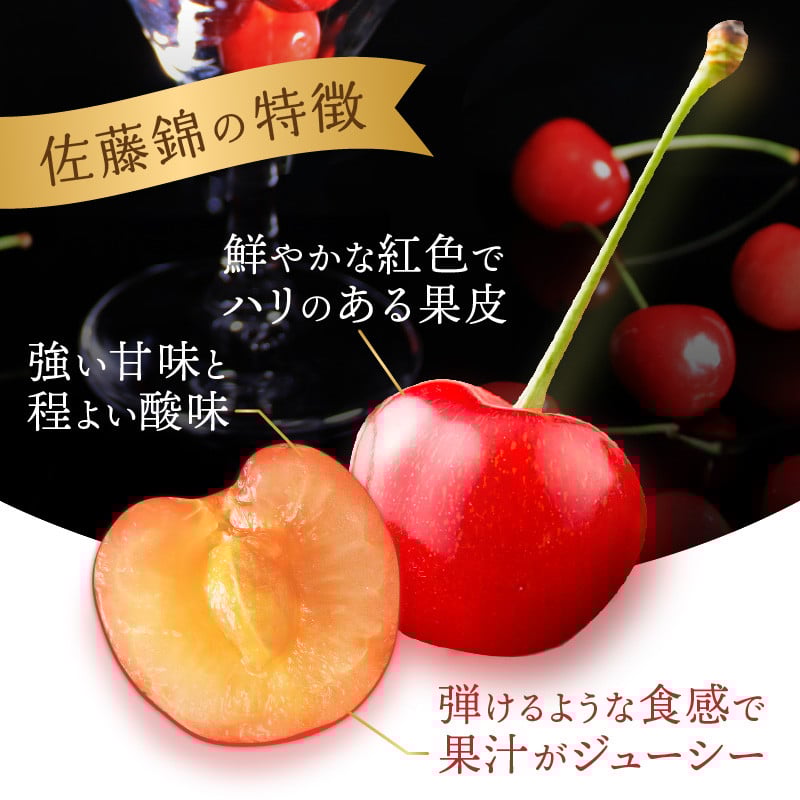 《先行受付》さくらんぼ 佐藤錦 500g 特秀品 Lサイズ 化粧箱入【2026年6月中旬頃～発送予定】【山形県産さくらんぼ】