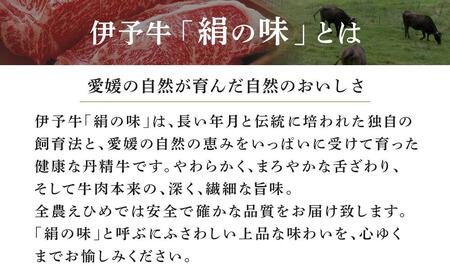 伊予牛「絹の味」黒毛和牛 小間切れ 800ｇ（400ｇ×２）【肉 お肉 にく 食品 愛媛県産 人気 おすすめ 送料無料 ギフト】