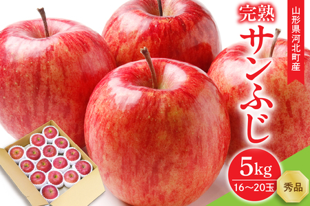 【令和7年産】サンふじりんご 完熟 5kg(約16～20玉) ギフトBOX入り 山形県河北町産【山形eLab】ka074-014