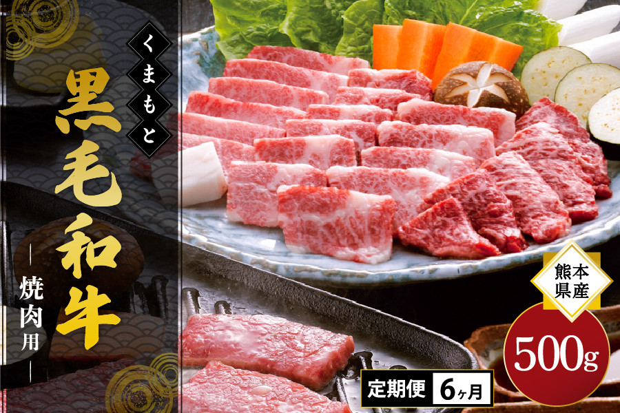 
【6ヶ月定期便】熊本県産 くまもと黒毛和牛 焼肉用 500g
