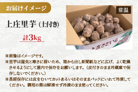 【先行予約】日本の美味い里芋！秋の味覚 上庄里芋 3kg【11月より順次発送】 [A-001005]