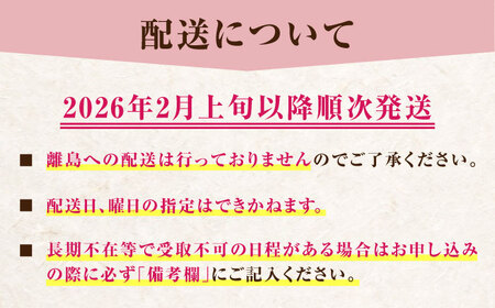 【先行予約・26年2月以降発送】　大分産ベリーツ(約250g×4パック) / いちご いちご いちご いちご いちご いちご /  [ARET010]