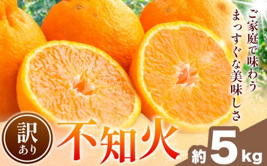 不知火 訳あり 5kg 中畑農園《2027年1月下旬-2月末頃出荷》 和歌山県 日高川町 不知火 みかん ミカン 蜜柑 椪柑 フルーツ 果物 柑橘