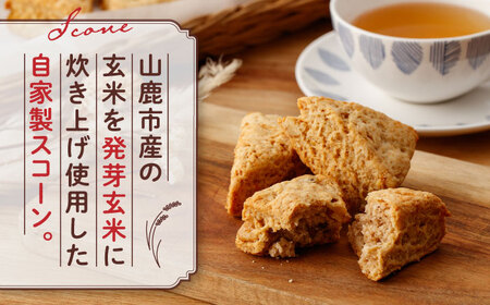 【全3回定期便】有機発芽玄米甘麹とくるみのスコーン【BANBA BON BONS】スコーン スコーン定期 スコーン定期便 有機発芽玄米  [ZDW002]
