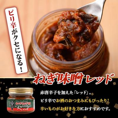 ふるさと納税 宇佐市 ねぎ味噌 (グリーン×1個・レッド×2個)【110700301】【葱屋おおくぼ】 |  | 01