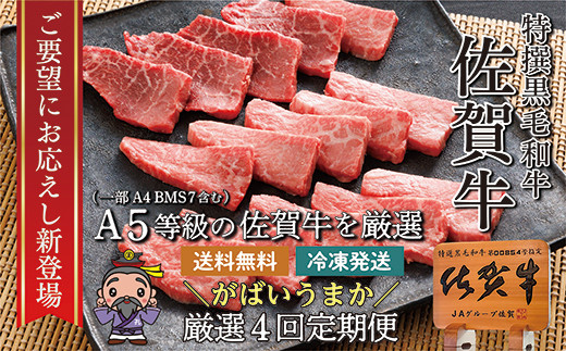 【 ４回発送 】 大人気の赤身も食べられる！ 佐賀牛 定期便　※画像はイメージです。