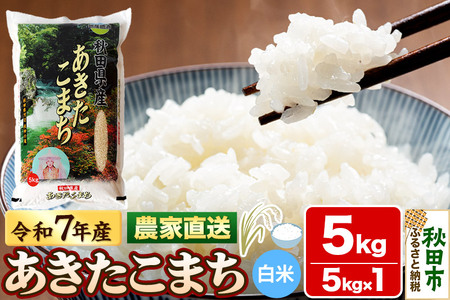 米 あきたこまち 5kg 令和7年産 白米 田口商店 農家直送 秋田県産
