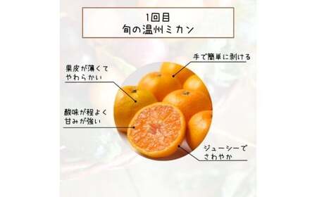 【全3回定期便】柑橘定期便【tkb606】