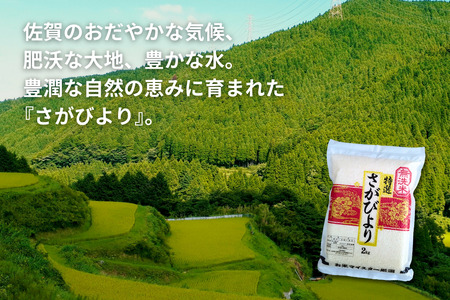 五つ星お米マイスターが厳選！【無洗米】さがびより 2kg（真空パック）：B110-058