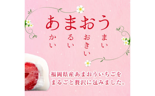 至福 あまおう 大福 8個セット 北九食品株式会社 《30日以内に出荷予定(土日祝除く)》---skr_fktkamaodai_30d_24_13500_8i---