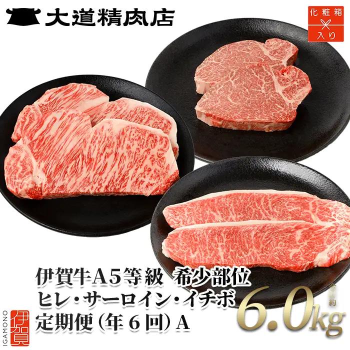 伊賀牛 【年6回】A5ヒレ・サーロイン・イチボ 定期便A 総合計約6.0kg【dido-tkb0004】