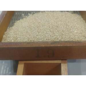 夢ふうせん　白米5kg【1482861】