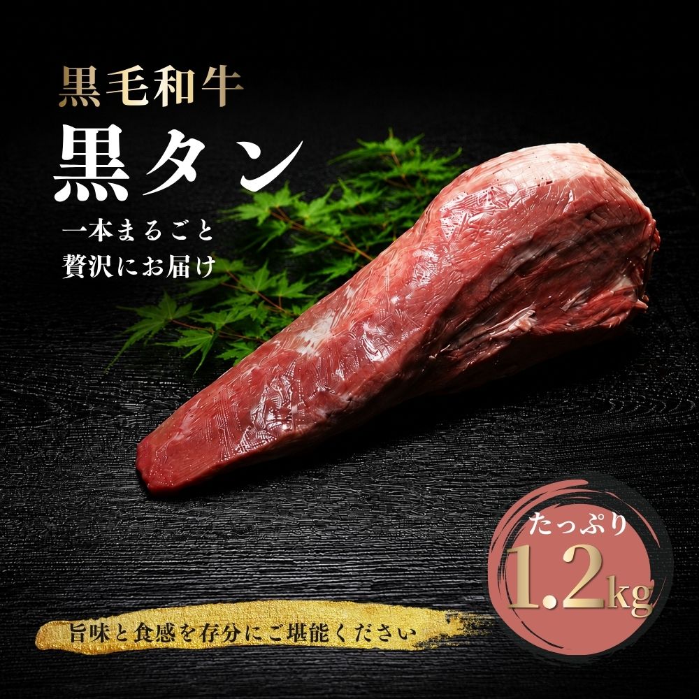 【ふるさと納税】(冷凍) 黒毛和牛 タン 1本 1.2kg／牛たん ブロック 牛タン 国産 やわらか グルメ お取り寄せ 牛肉 ギフト A5 キャンプ 父の日 母の日 お中元 暑中見舞い お土産 焼肉 正月 キャンプ 奈良県 宇陀市 うし源本店