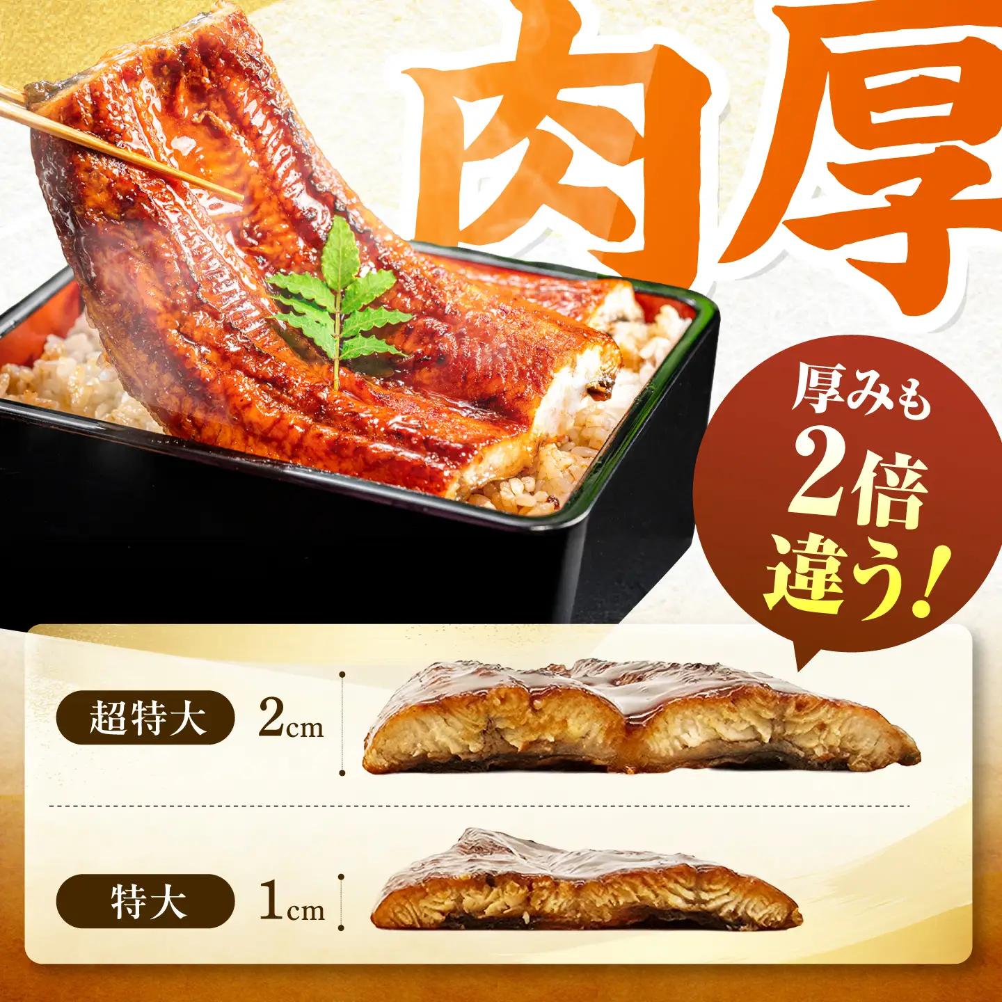 【新登場】 うなぎの蒲焼 2尾(1尾約500g) [AFBS032-CP]
