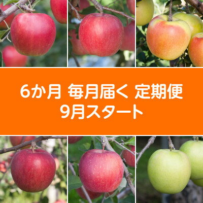 【ふるさと納税】【発送月固定定期便】〈2026年9月より順次発送〉甘味系・青森県産りんご約3kg 全6回【配送不可地域：離島・沖縄県】【4051699】