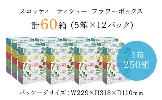 
値下げしました！【ボックスティッシュ】スコッティティシューフラワーボックス250組60箱(1ケース5箱×12パック) ふるさと納税 スコッティティシュー フラワーボックス ５箱パック 250組入り 　大容量 長持ち 生活応援 コンパクトペーパー 家庭用 日用品 防災 常備品　まとめ買い 長持ちティシュー お肌 ワイパー 花柄 ミモザ チューリップ ブルースター ユーカリ かすみ草 京都 福知山
