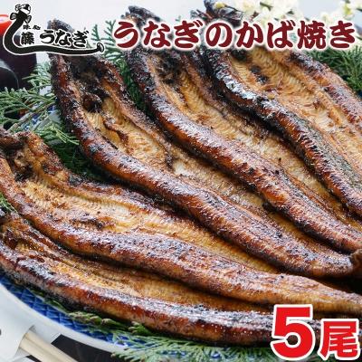 ふるさと納税 西都市 藤うなぎ　かば焼き　5尾　国産うなぎ 宮崎 蒲焼 鰻[3223]