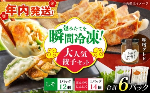 【年内発送】【計6パック】餃子屋ヒロの大人気餃子セット＋特製味噌ダレ付【餃子屋ヒロ】国産 肉 餃子 ぎょうざ ギョーザ ギョウザ 冷凍餃子 小分け 人気 餃子 おすすめ 餃子 冷凍 おかず おつまみ 名店 ご当地グルメ 神奈川県 開成町 [BDAS009-3]