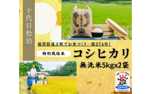 【 新米予約 】 コシヒカリ 無洗米 5kg x 2袋 縁起の竜王米 ( 令和6年産 先行予約 新米 無洗米 10kg おこめ ごはん 米 特別栽培米 ブランド米 ライス こだわり米 ギフト 国産 滋賀県竜王町 )