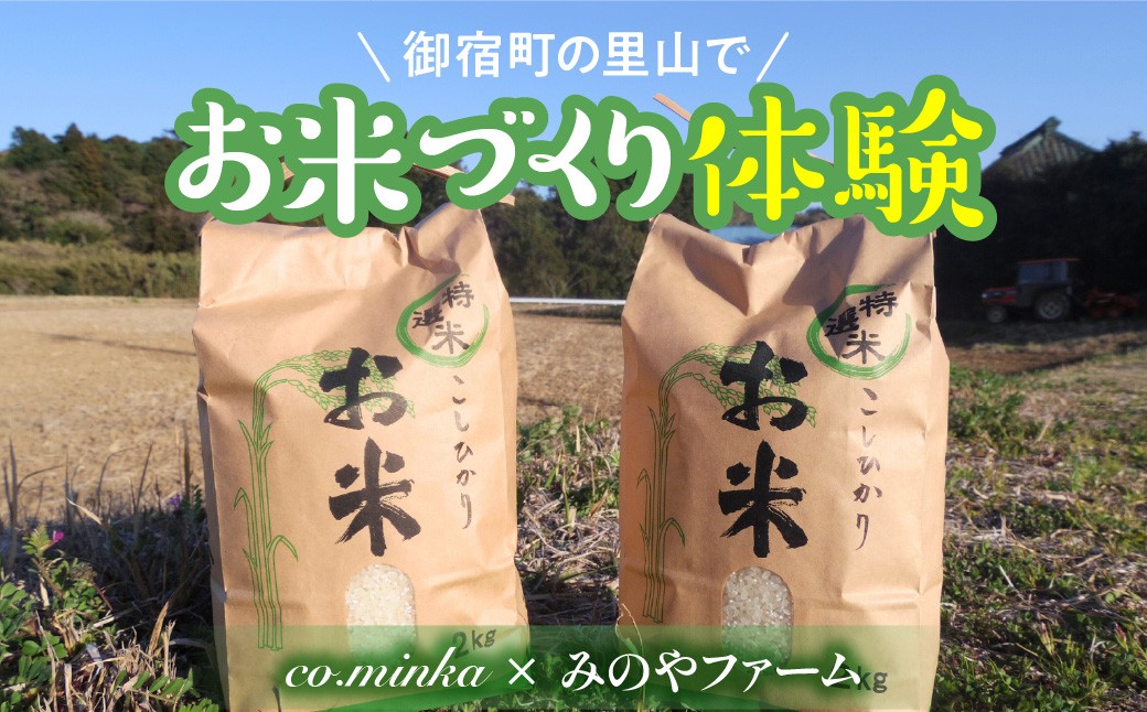 
                  2026年度 田んぼ区画オーナー制度（２区画）【個人向け】ご友人同士参加ＯＫ！ご家族参加も大歓迎！Ｉ７０１　
                
