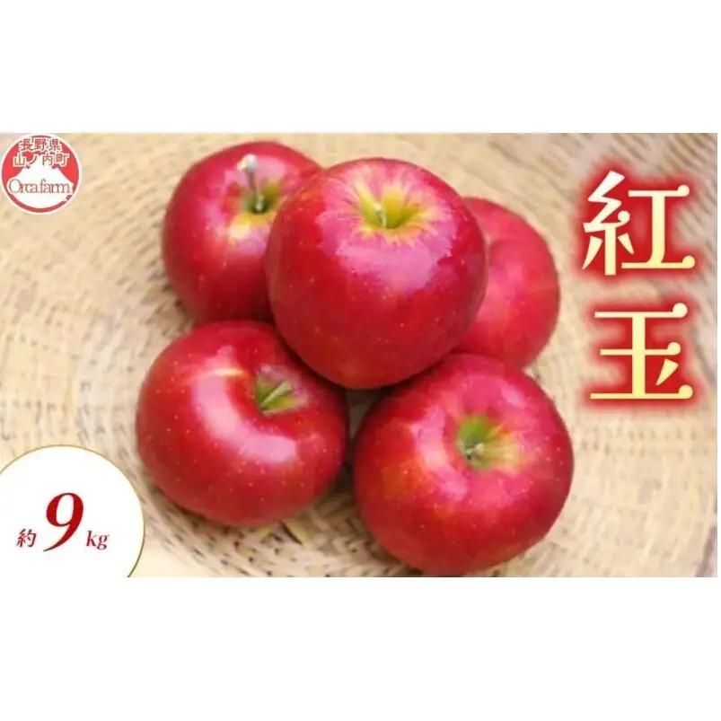 りんご 紅玉 9kg りんご