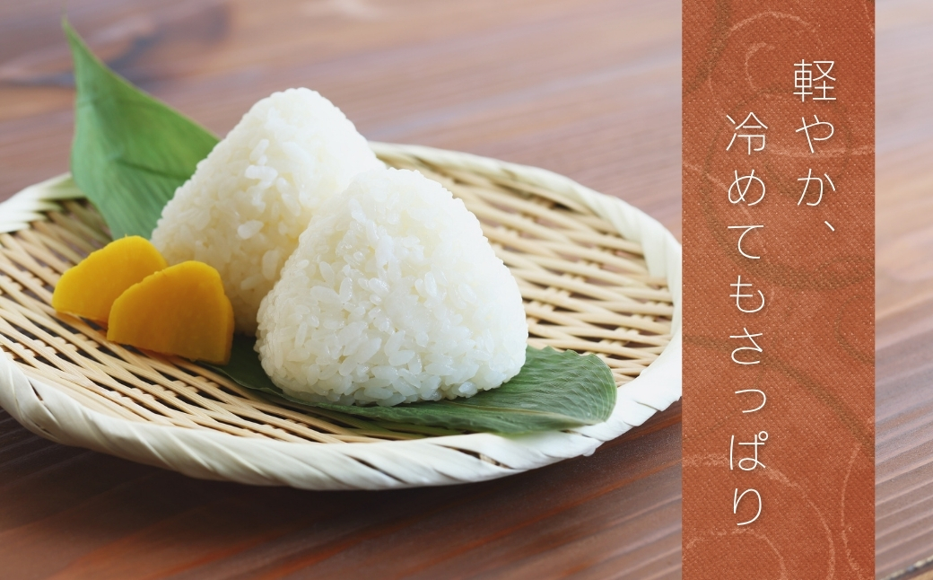 JAかとり直送 新米ふさおとめ 精米10kg（5kg×2） 千葉県神崎町産 令和7年産【千葉県神崎町ふるさと納税】