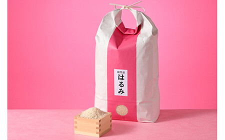 【定期便】12か月 座間市産米 はるみ5kg×12回 ※離島への配送不可※2025年10月下旬頃より順次発送予定