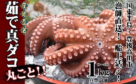 C4-12 船上活締め！！ゆで真ダコ丸ごと（1～4匹）