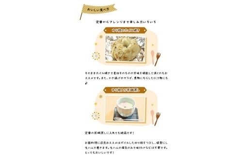 北海道ニセコ町 ゆり根M-L混みサイズ2kg【2025年産】