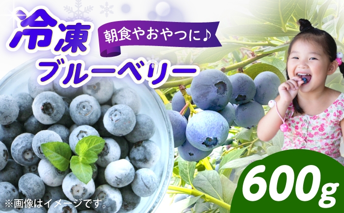 
                  冷凍ブルーベリー 600g 【2026年7月上旬～8月下旬発送】《豊前市》【OH YEAH!農園】 ブルーベリー 果物 フルーツ 冷凍ブルーベリー [VER002]
                