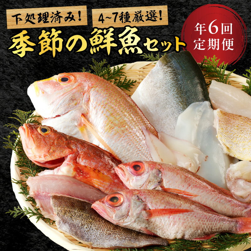 【ふるさと納税】【定期便】季節の鮮魚セット年6回コース 定期便 6回 鮮魚 お任せ お取り寄せ 魚介 鮮魚 セット 下処理済み 【096_0744】